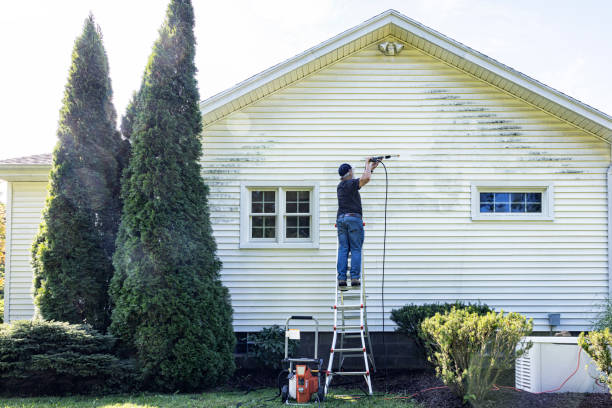 Best Roof Pressure Washing  in Pacheco, CA